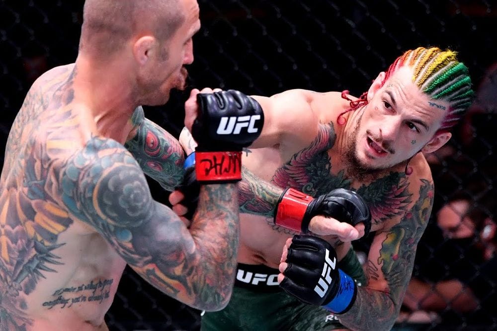 Sean O'Malley's Most Epic UFC Knockouts and Highlights post image