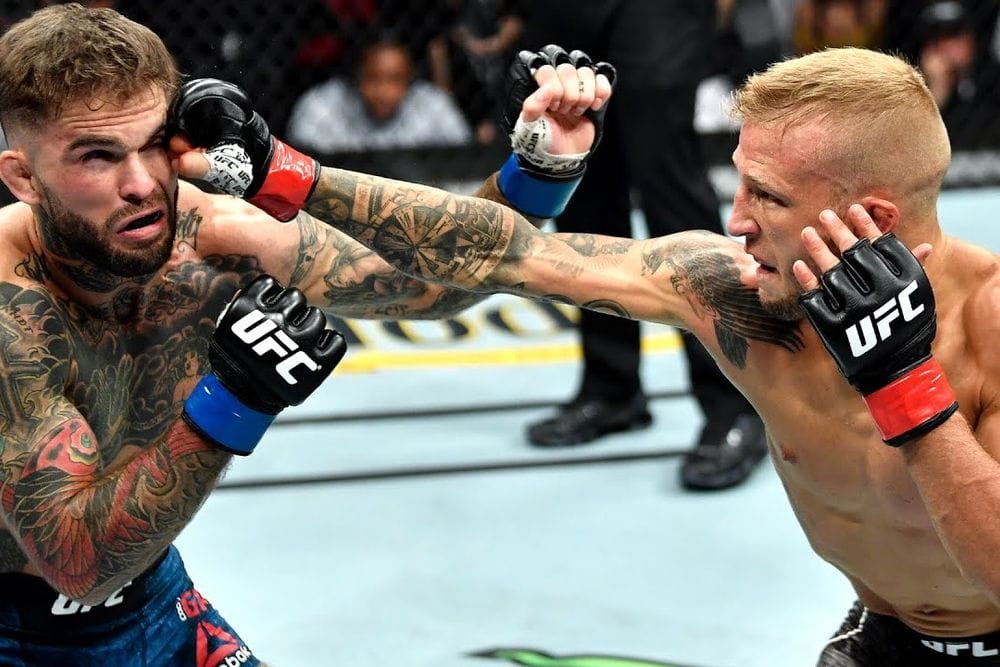 TJ Dillashaw's Most Epic UFC Finishes Before UFC 280 Showdown post image