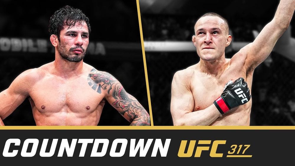 UFC 317 Countdown: Pantoja vs Kara-France Title Fight Breakdown post image